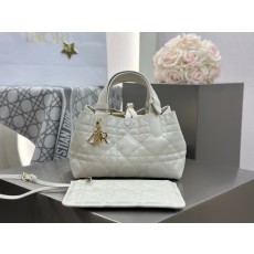디올 뚜즈흐백 스몰