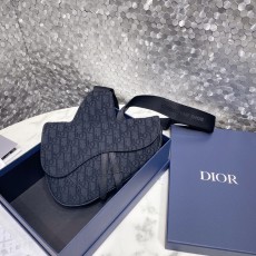 디올 남성 크로스백