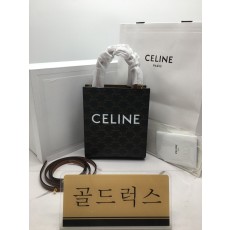 골드럭스 실사