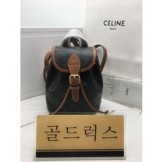 골드럭스 실사