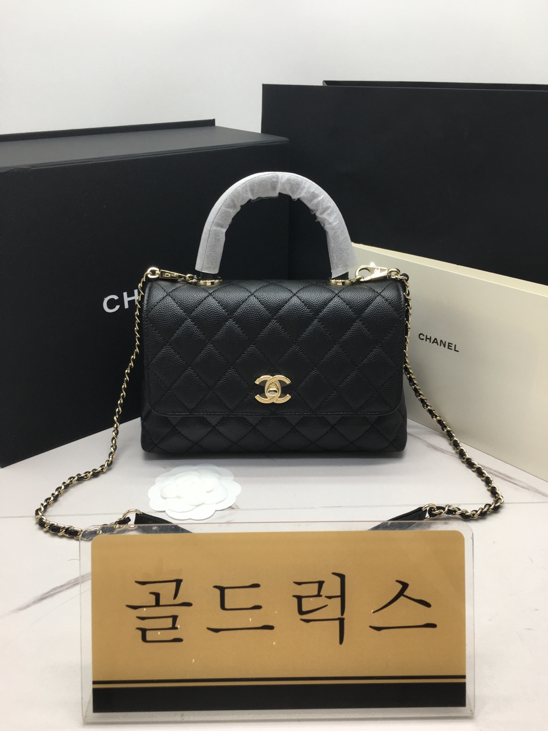 골드럭스 실사