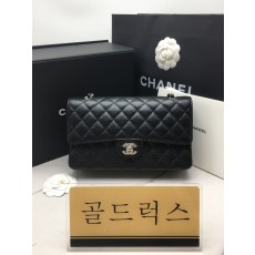 골드럭스 실사
