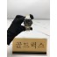 골드럭스 실사
