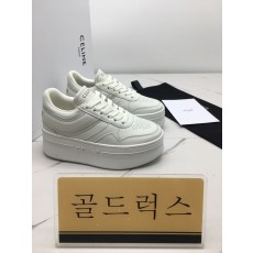 골드럭스 실사