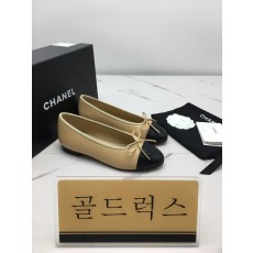 골드럭스 실사