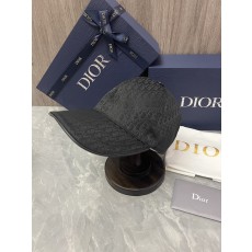 디올 모자
